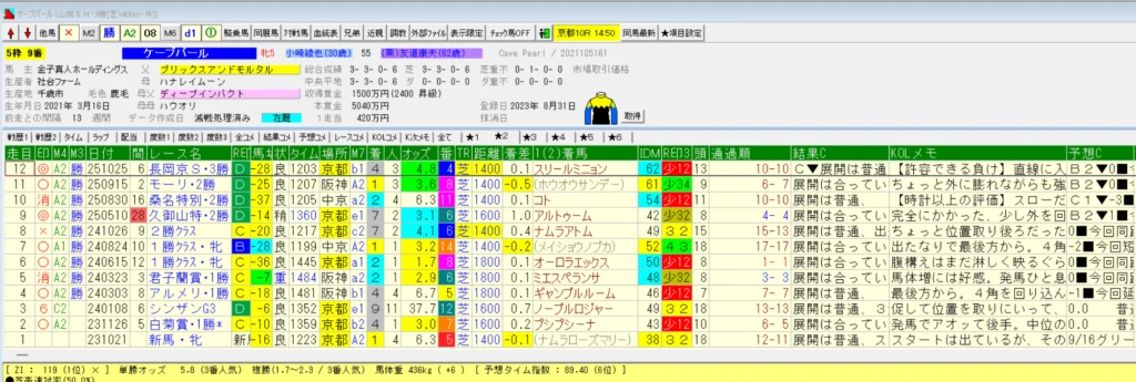 TARGETの競走馬データ画面。過去走の一覧の右側に、自分で書き込んだレース回顧のメモが並んでいる